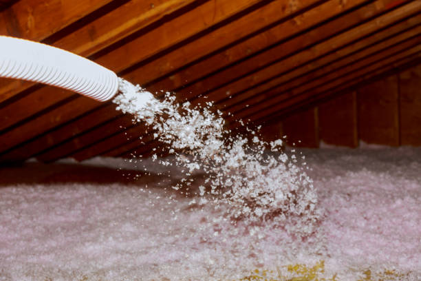 Best Home Insulation Services  in Jonesborough, TN