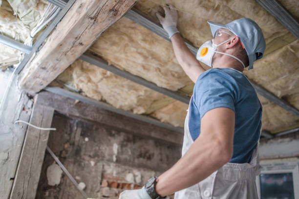 Best Insulation Contractors for Homes  in Jonesborough, TN