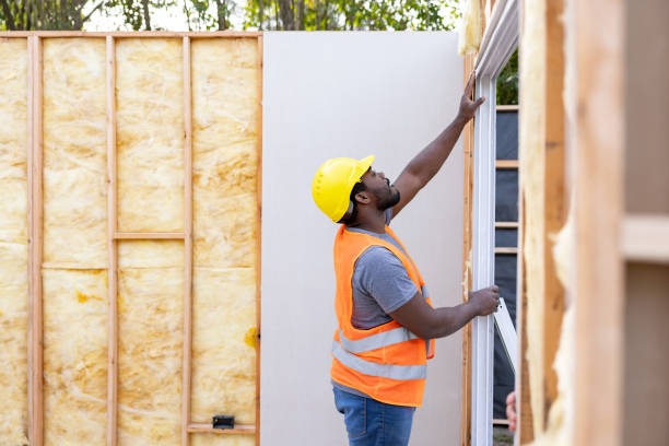 Best Insulation Contractor Near Me  in Jonesborough, TN